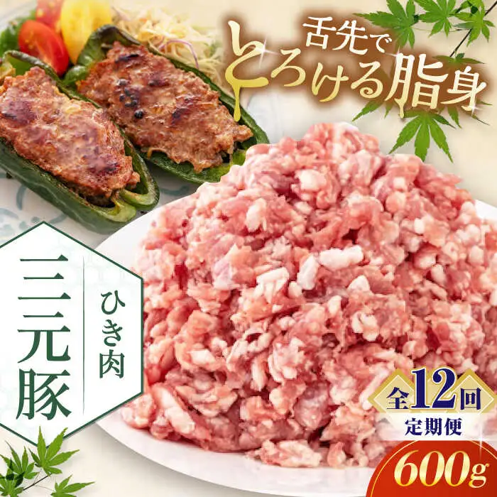 【全12回定期便】平田牧場 ひき肉 600g  豚肉 餃子 つくね [AJAP121]