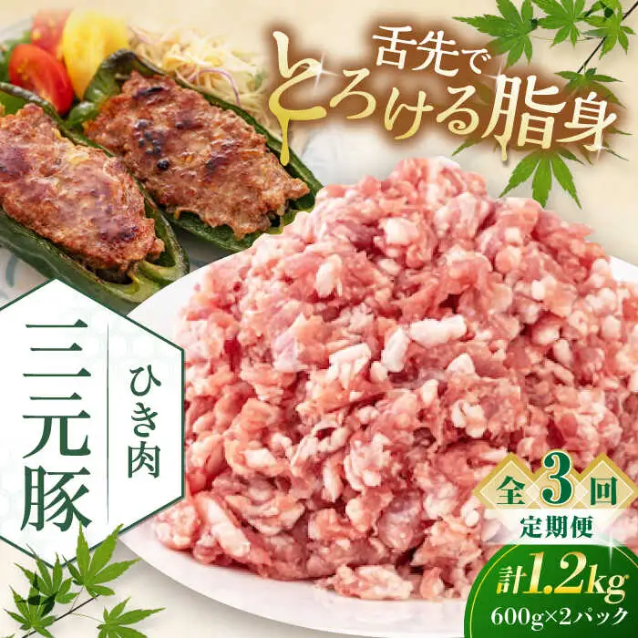 【全3回定期便】平田牧場 ひき肉 1.2kg (600g×2P)  豚肉 餃子 つくね [AJAP123]