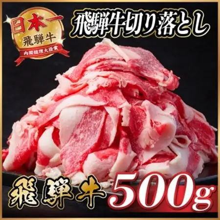 飛騨牛　切り落とし　約500g【冷蔵便】A4～A5等級 黒毛和牛 小分け_肉  牛肉 _【配送不可地域：離島】【1531510】
