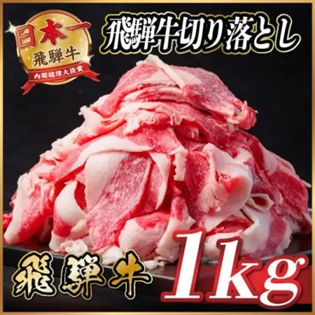 飛騨牛　切り落とし　約1kg(約500g×2パック)【冷蔵便】A4～A5等級 黒毛和牛 小分け_肉  牛肉 _【配送不可地域：離島】【1531513】