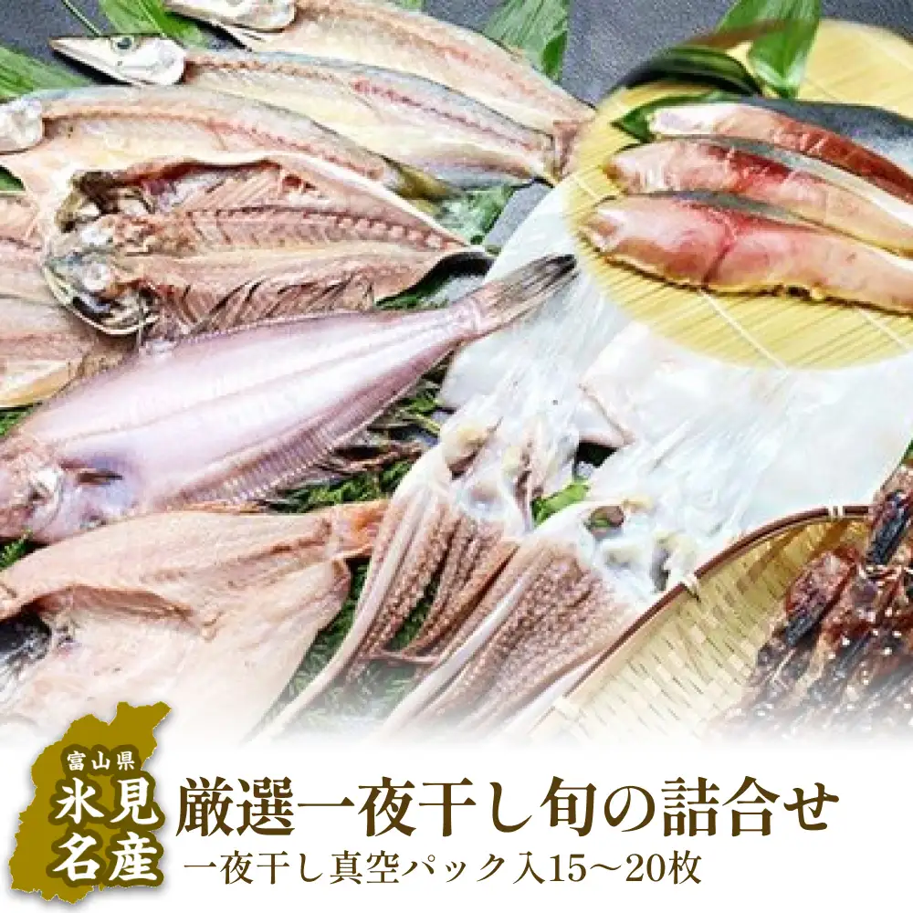 氷見産厳選一夜干し旬の詰合せ　| 干物 産地直送 一夜干し 干物セット 国産 富山 詰め合わせ 小分け 旬 新鮮 おつまみ おかず 簡単調理 焼魚 冷凍