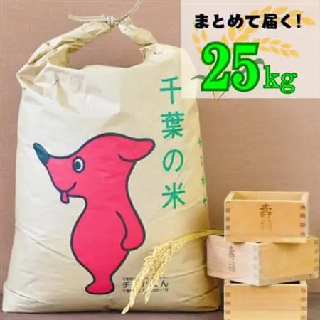 【令和8年度産】吉田米屋イチオシ!白米25kg つやつや館山産コシヒカリ1等米_コシヒカリ こしひかり お米 米 こめ おこめ 白米 国産 ごはん ご飯 白飯 ゴハン_【1521967】