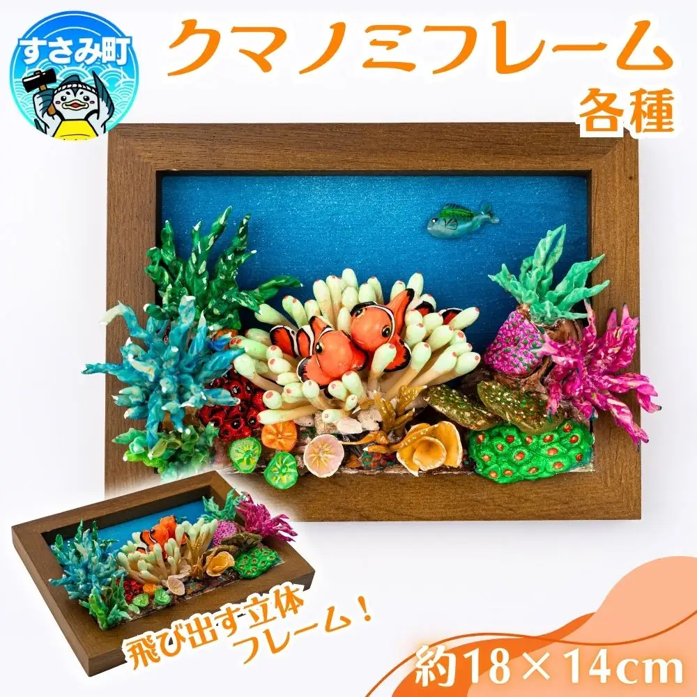 クマノミ各種　フレーム  /  魚 さかな フィッシュ 釣り 海 うみ クマノミ 海水魚 海の生き物 鍵 かぎ 家 車 自転車 かわいい お土産 雑貨 思い出 プレゼント ギフト すさみ 【mac007A】