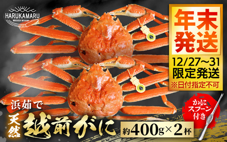 【先行予約】はるか丸厳選！越前がに 約400g × 2杯【年末発送】新鮮 越前がに [m36-x001_99]