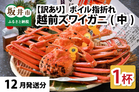 【12月発送】【先行予約】【訳あり】越前がに（中）1杯 指折れ 越前ズワイガニ [E-4353_12]