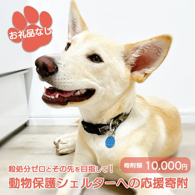 【お礼品なし】殺処分ゼロとその先を目指して！　動物保護シェルターへの応援寄附　10,000円/応援寄付金 返礼品なし お礼の品なし 地元支援 地域支援 ふるさと支援 殺処分 ゼロ 0 感謝 動物愛護 イヌ 犬 ネコ 猫 助ける命 小さな命 保護犬 保護ネコ どうぶつ 環境整備 ボランティア 慈善事業 岩手県 矢巾町
