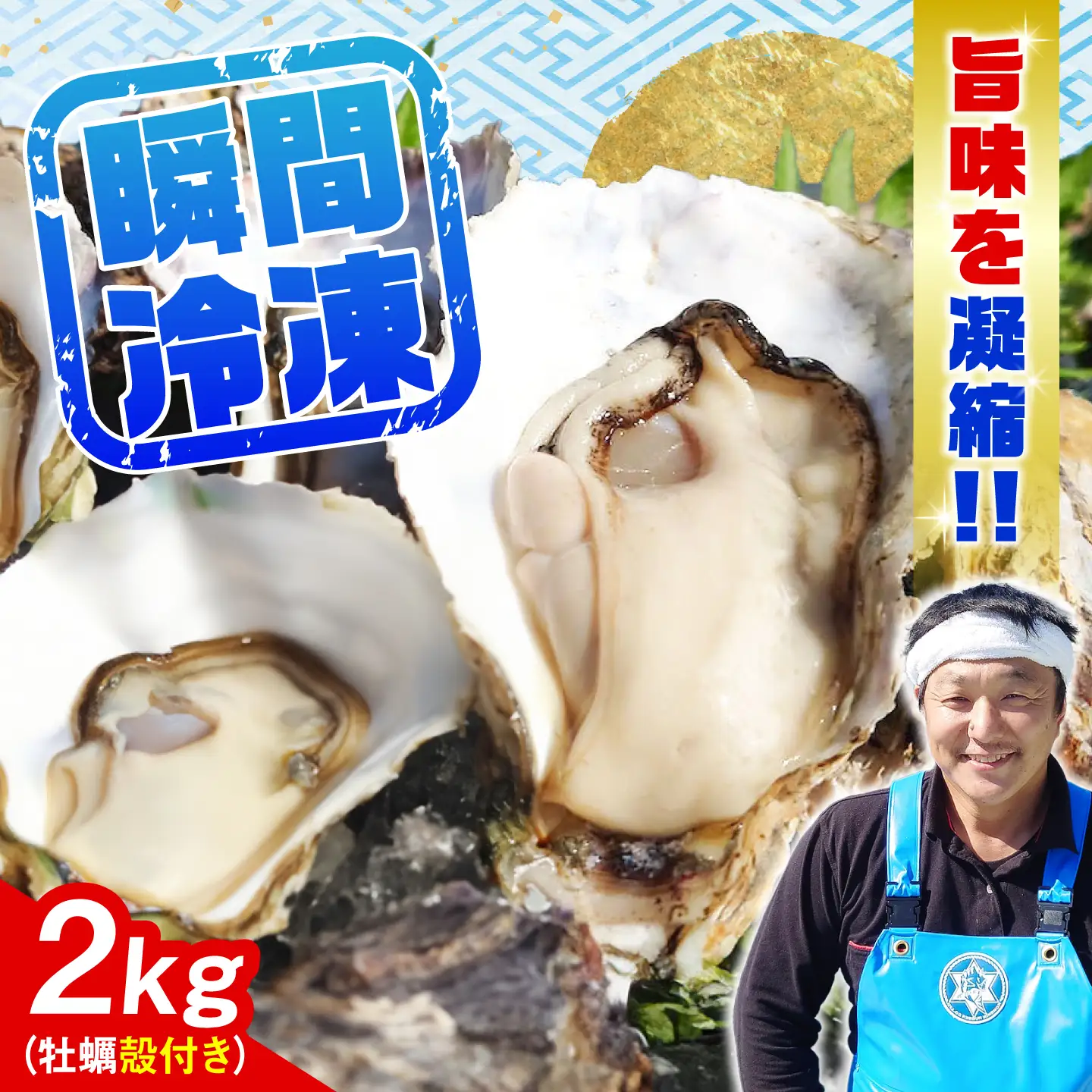 冷凍牡蠣 殻付き2kg 牡蠣[XAO029]