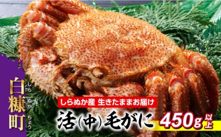 しらぬか産 活中サイズ毛がに【450g以上】_I055-0562
