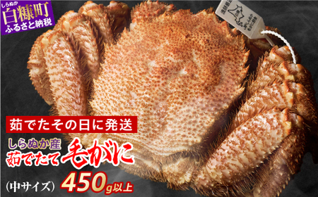 しらぬか産 茹でたて中サイズ毛がに【450g以上】_I055-0563