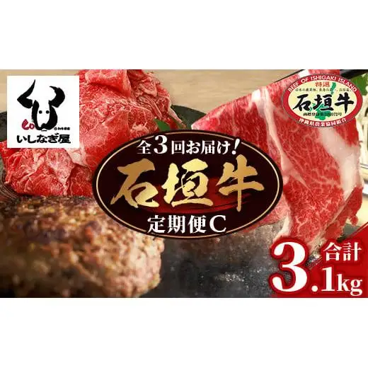 【全3回 定期便C】 石垣牛　切り落としスライス・ハンバーグ・肩ロースすきしゃぶ　計3.1kg（いしなぎ屋）　AB-31