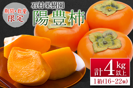 ＜期間・数量限定＞石村果樹園の『陽豊柿(ようほうがき)』計4kg以上 宮崎県新富町産 くだもの デザート【B624-26】