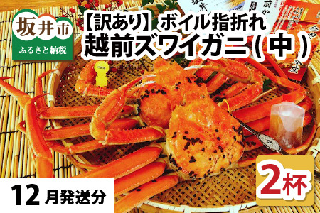【12月発送】【先行予約】【訳あり】越前がに（中）2杯 指折れ 越前ズワイガニ [J-4304_12]