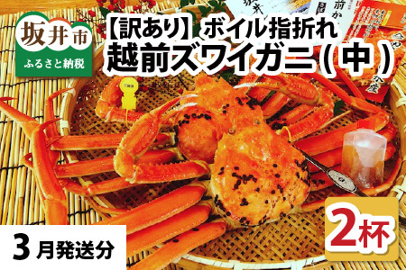 【3月発送】【先行予約】【訳あり】越前がに（中）2杯 指折れ 越前ズワイガニ [J-4304_03]