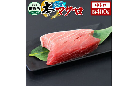 本まぐろ 中トロ 約400g