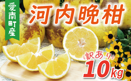 訳あり 河内晩柑 樹齢 30年以上 10kg （ サイズ おまかせ ） 7000円 みかん かわちばんかん 愛南ゴールド あいなん ゴールド 美生柑 文旦 グレープフルーツ 和製 家庭用 産地直送 国産 農家直送 期間限定 数量限定 ビタミン 特産品 ゼリー ジュース マーマレード ピール ドライフルーツ 人気 限定 さわやか 甘い フルーツ 果物 柑橘 蜜柑 規格外 愛南町 愛媛県 果樹園みどり みかん 河内晩柑 みかん 河内晩柑 みかん 河内晩柑 みかん 河内晩柑 みかん 河内晩柑 みかん 河内晩柑 みかん 河内晩柑 みかん 河内晩柑 みかん 河内晩柑 みかん 河内晩柑 みかん 河内晩柑 みかん 河内晩柑 みかん 河内晩柑 みかん 河内晩柑 みかん 河内晩柑 みかん 河内晩柑 みかん 河内晩柑 みかん 河内晩柑 みかん 河内晩柑 みかん 河内晩柑 みかん 河内晩柑 みかん みかん