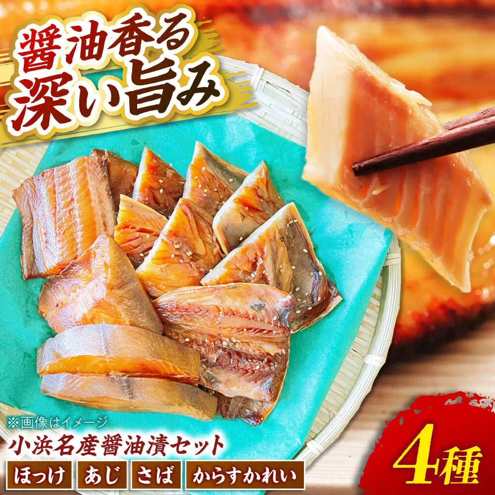 竹下商店　小浜名産お魚醤油漬セット4種（冷凍） [BFCO007] 【配送不可地域：北海道・沖縄・離島】 