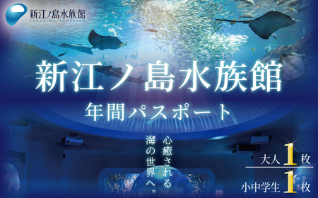 新江ノ島水族館 【年間パスポート】 引換券 大人1枚 + 小・中学生1枚 / 水族館 チケット 観光