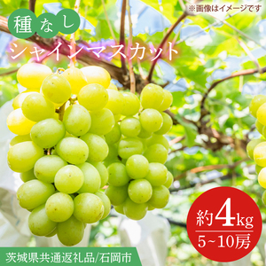 【2026年9月より順次発送】シャインマスカット 約4kg（5～10房）【茨城県共通返礼品/石岡市】（IT-16）