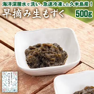 もずく 海洋深層水で洗い急速冷凍した久米島産！早摘み生もずく 500g  モズク 海藻