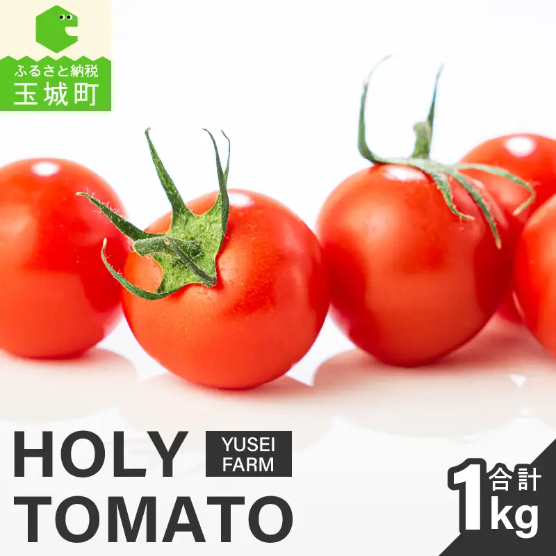 HOLY TOMATO [ミニトマト トマト]