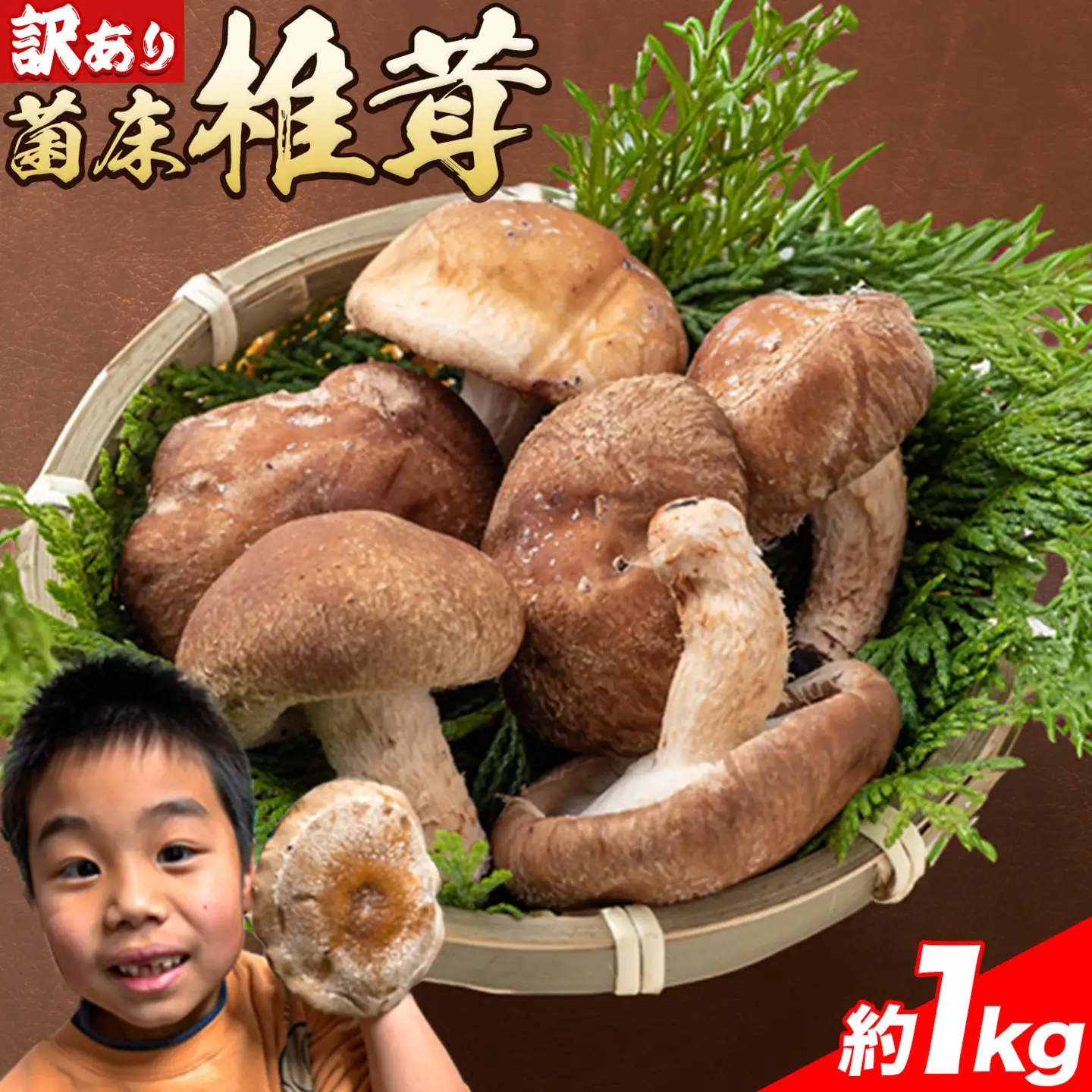 訳あり 菌床 椎茸 1kg (サイズ未選別・不揃い) motochi農園 岩手県九戸村