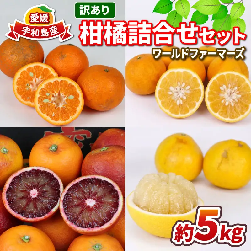 愛媛みかん 訳あり 柑橘 詰め合わせ セット 5kg ワールドファーマーズ わけあり 先行予約 愛媛蜜柑 愛媛ミカン 訳アリ 訳あり品 訳有り わけあり みかん mikan 果物 くだもの フルーツ 柑橘 蜜柑 産地直送 数量限定 愛媛 国産 宇和島 B010-024028