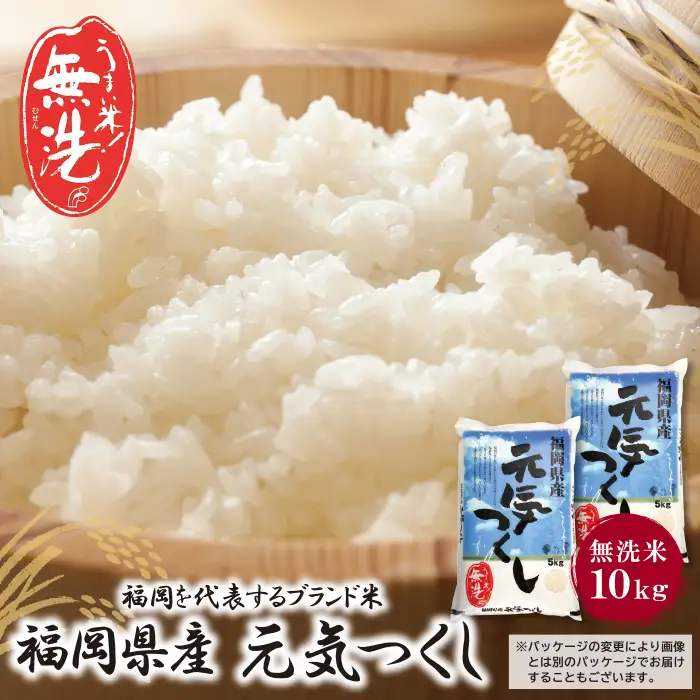 Z17-22 令和7年産 無洗米 元気つくし10kg