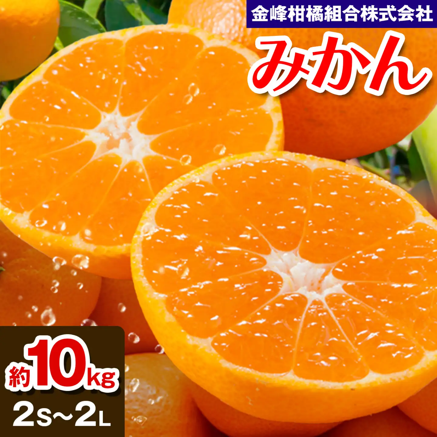 みかん 約10kg (2S-2Lサイズ) 金峰柑橘組合株式会社 ミカン 柑橘 フルーツ 旬 熊本県 玉名郡 玉東町 《10月中旬-1月中旬頃出荷》贈り物 果物 くだもの