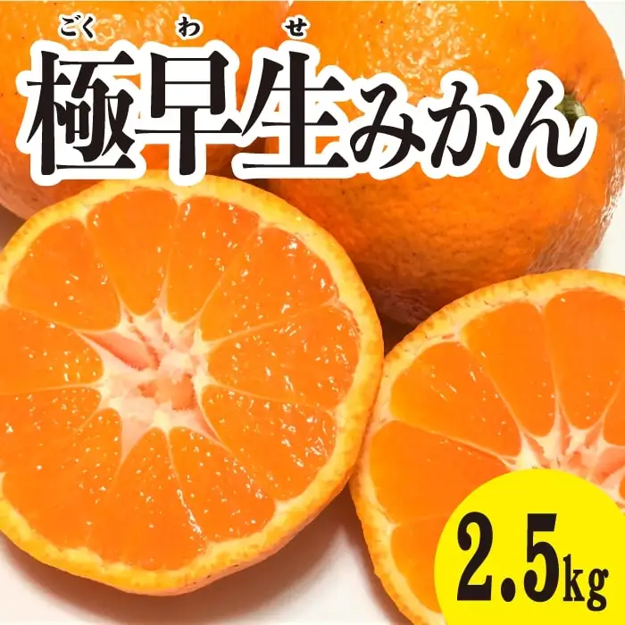 みかん 柑橘【先行受付】【2026年10月中旬以降発送】 甘さと酸味が絶妙！極早生 みかん 約2.5kg 三原 佐木島 017038