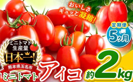 【 定期便 5回 】ミニトマト アイコ 約2kg｜サザキ農園