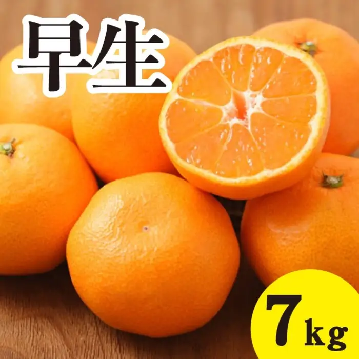 みかん【先行受付】【2026年11月以降発送】甘いだけじゃない！ 甘みと酸味の 早生みかん ＜約7kg＞ 広島 三原 佐木島 鷺島みかんじま 017040