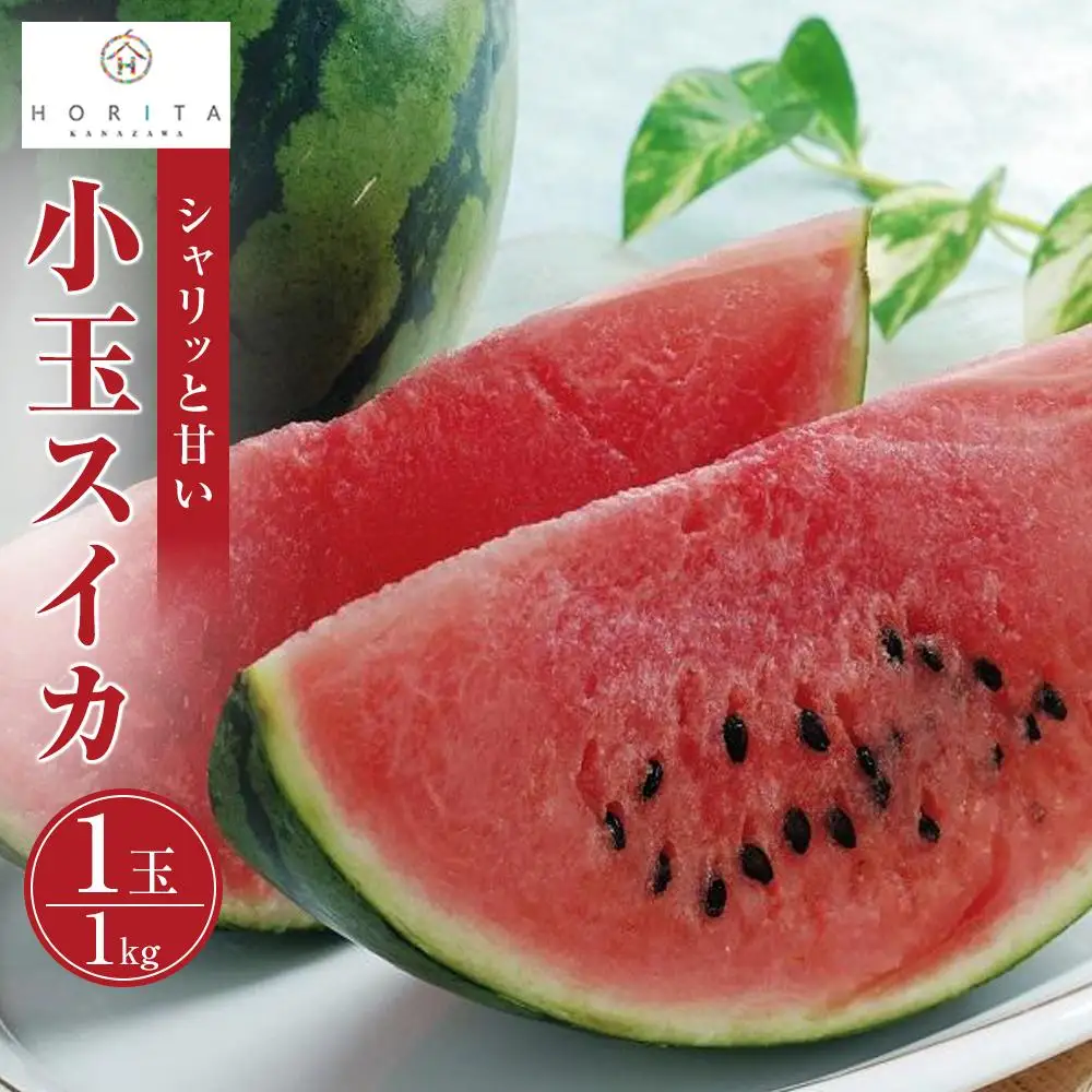 【2027年6月中旬～発送】【先行予約】小玉 スイカ 1kg（1玉）