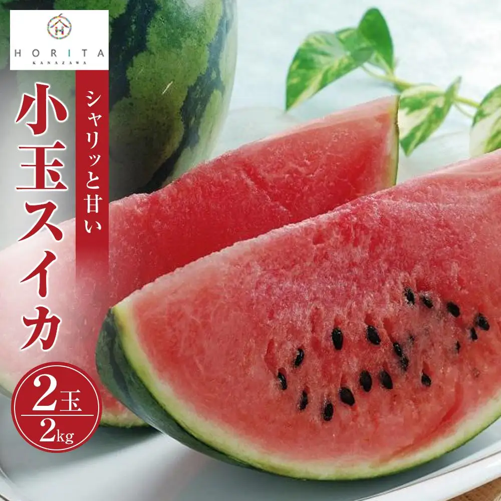 【2027年6月中旬～発送】【先行予約】小玉 スイカ 2kg（2玉）