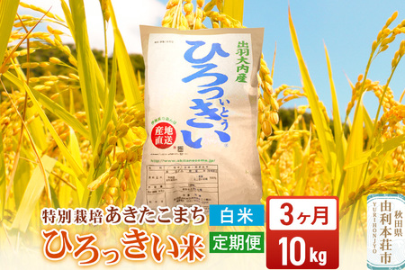 《定期便3ヶ月》【白米】 秋田県産 あきたこまち 10kg  令和7年産 特別栽培米 ひろっきい米