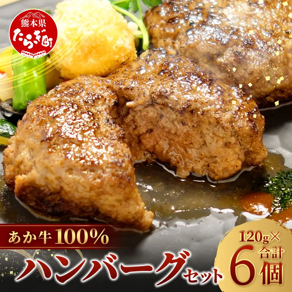 熊本和牛 あか牛 100％ハンバーグセット 120g×6個（計720g）046-0638