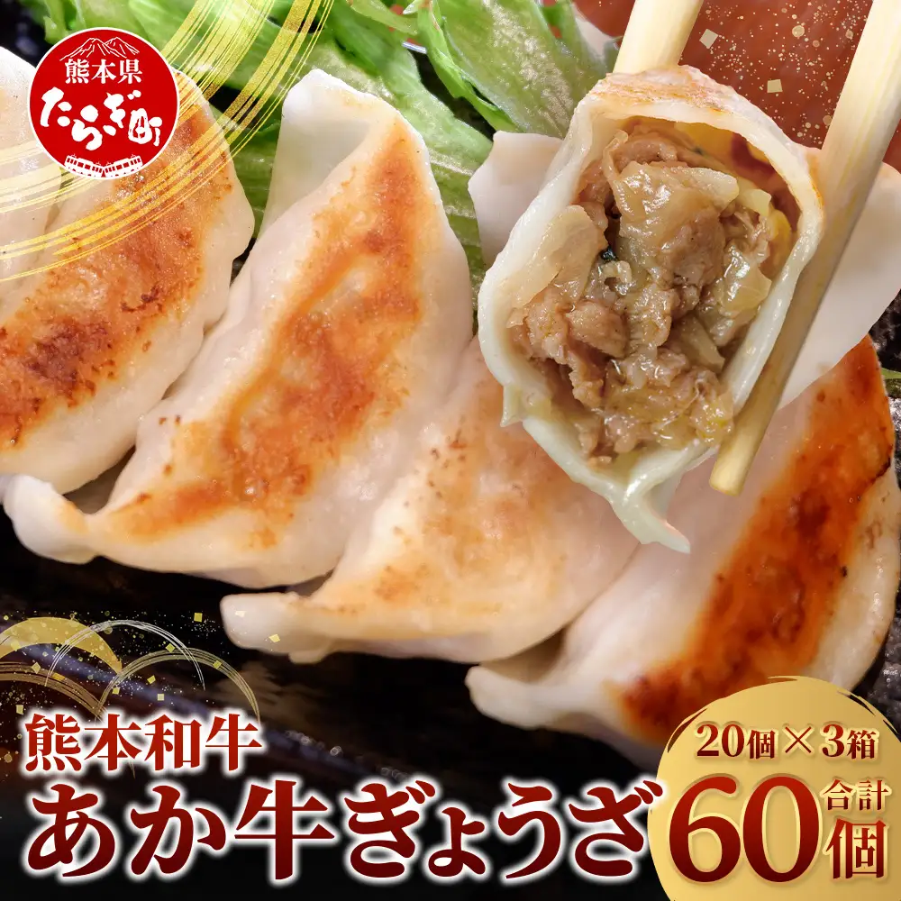 【餃子】熊本和牛 あか牛 ぎょうざセット ≪熊本あか牛餃子20個入り×3箱 計60個≫ 046-0640