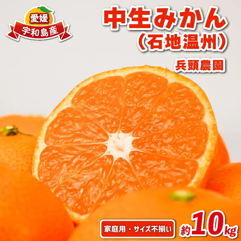 みかん 石地温州10kg家庭用 兵頭農園 愛媛みかん愛媛みかん B015-055005