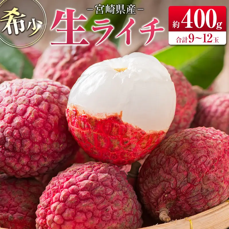 ＜2027年発送＞希少！宮崎県産 生ライチ 計約400g