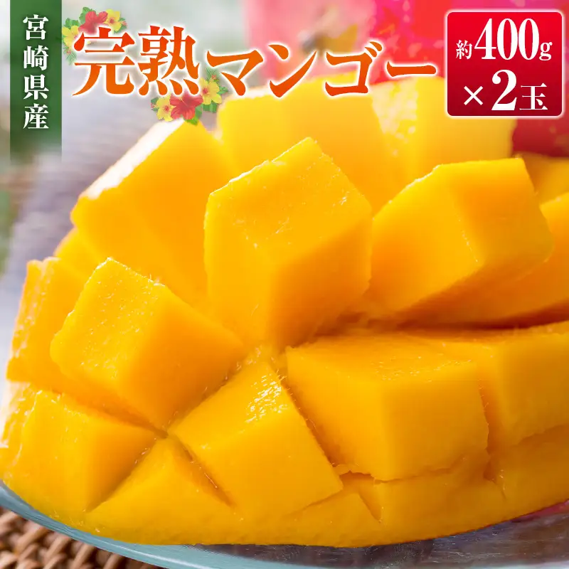 ＜2027年発送＞宮崎県産 完熟マンゴー 2玉（1玉 約400g）