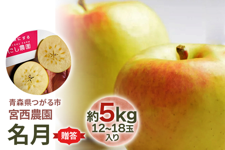 [贈答] 名月【約5kg 12から18玉入り】糖度15度以上のりんご｜令和8年 2026年 青森 リンゴ [0683]