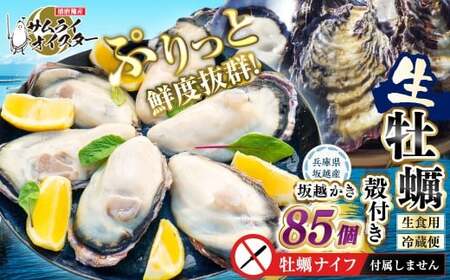 坂越かき 殻付き85個【ナイフなし】 牡蠣 カキ 海鮮 貝【2027年1月以降発送予定】