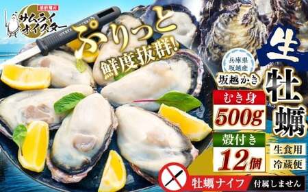 坂越かき むき身 約500g×1パック、殻付き 12個【ナイフなし】 牡蠣 カキ 海鮮 貝【2027年1月以降発送予定】