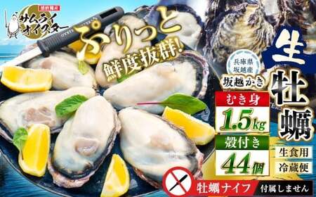 坂越かき むき身 約500g×3パック、 殻付き 44個【ナイフなし】 牡蠣 カキ 海鮮 貝【2027年1月以降発送予定】