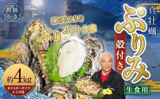 生食用 真牡蠣「ぷりみ」約4kg かき 牡蠣