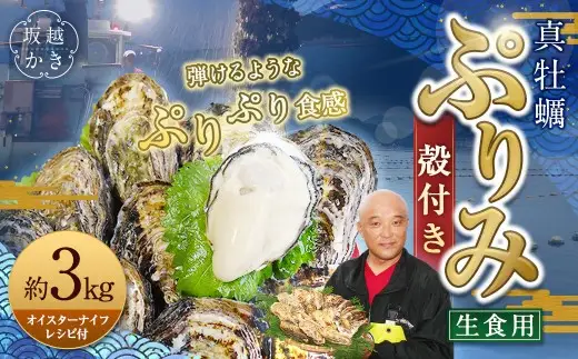 生食用 真牡蠣「ぷりみ」約3kg かき 牡蠣