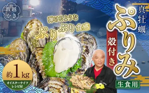 生食用 真牡蠣「ぷりみ」約1kg かき 牡蠣