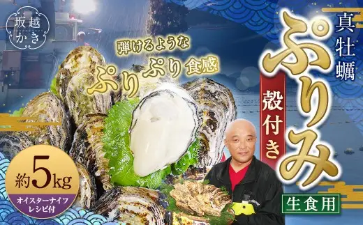 生食用 真牡蠣「ぷりみ」約5kg かき 牡蠣