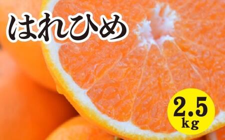 みかん【先行受付】【2027年1月以降発送】 爽やかな香りと甘さに満足！ 新品種 はれひめ ＜約2.5kg＞ 広島 三原 佐木島 鷺島みかんじま 017042