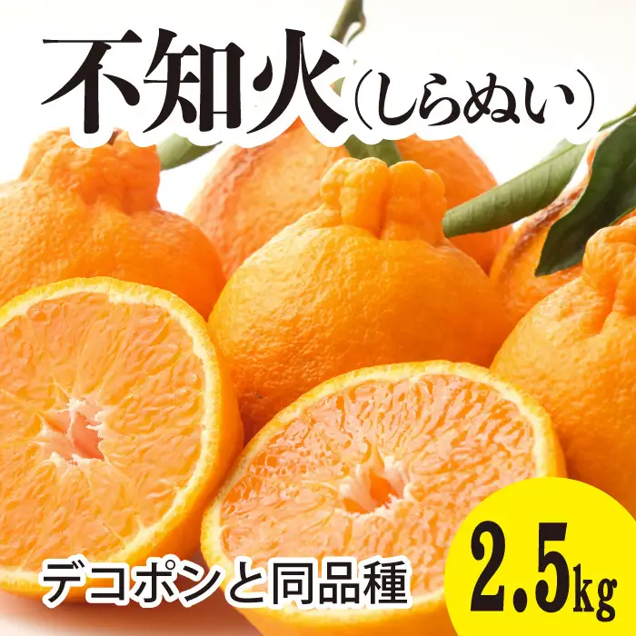 みかん 柑橘【先行受付】【2027年3月以降発送】甘さ抜群しらぬい！デコちゃん【デコポンと同品種】＜約2.5kg＞ 広島 三原 佐木島 鷺島みかんじま 017044