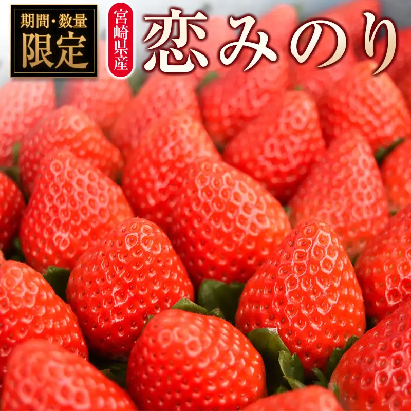 ＜2027年発送＞いちご「恋みのり」 計8パック